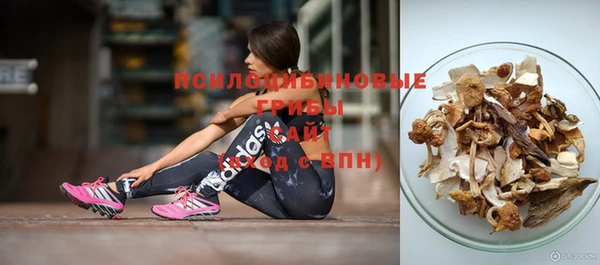 метадон Аркадак