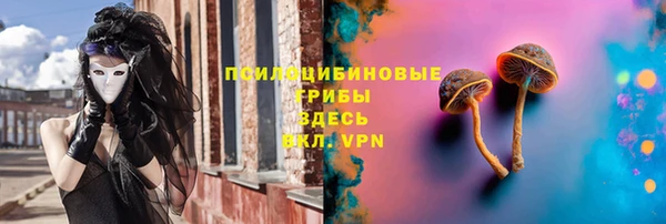 ECSTASY Армянск