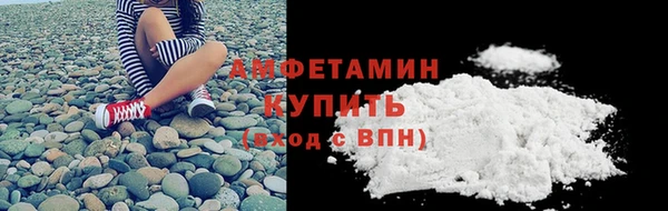 твердый Арсеньев