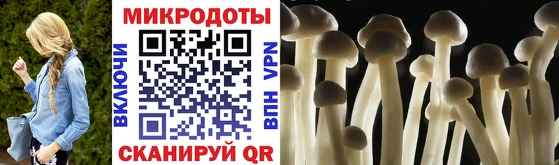 Купить закладки  Кувандык  Галлюциногенные грибы MAGIC MUSHROOMS 
