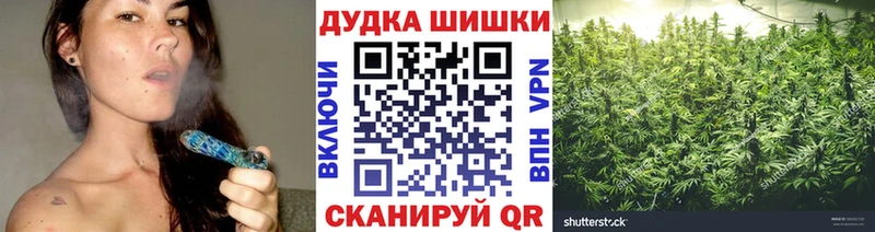 Купить  Кувандык  Бошки Шишки сатива 